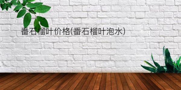 番石榴叶价格(番石榴叶泡水)