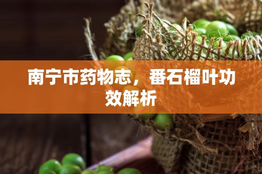 南宁市药物志,番石榴叶功效解析