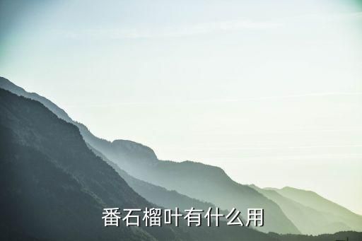  番石榴叶有什么用