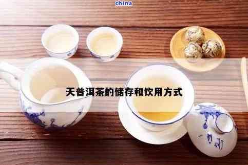 天叶普洱茶怎么保存