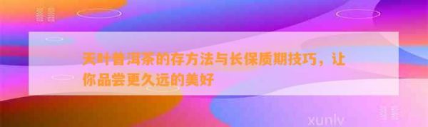 天叶普洱茶的存 与长保质期技巧，让你品尝更久远的美好