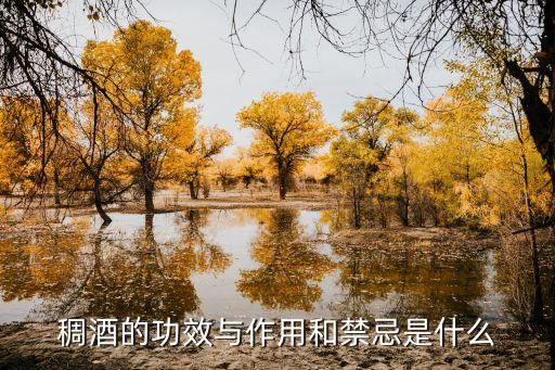 稠酒的功效与作用和禁忌是什么