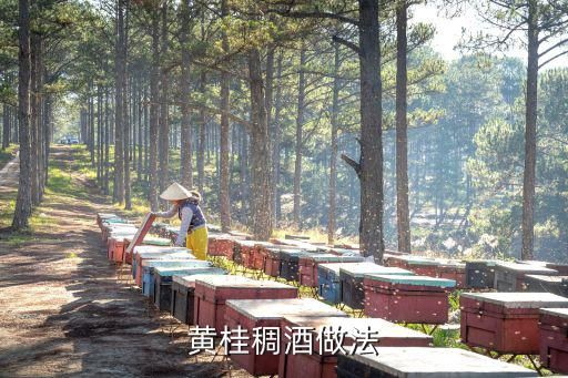 黄桂稠酒做法