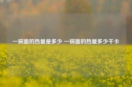 一碗面的热量是多少 一碗面的热量多少千卡