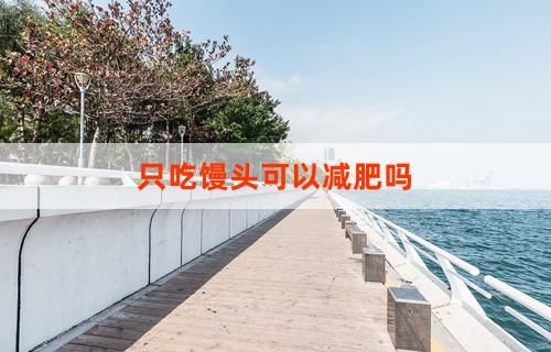 只吃馒头可以减肥吗