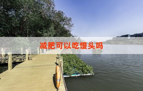 减肥可以吃馒头吗