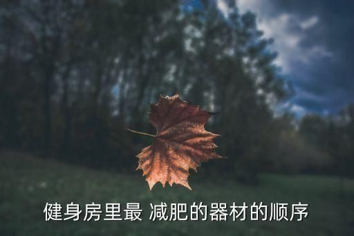 健身房里最 减肥的器材的顺序
