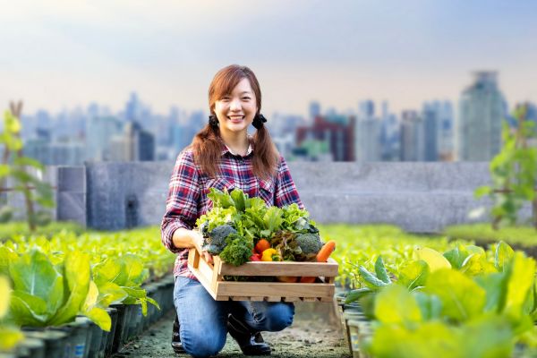 Unlock the Benefits of Raw Organic Super Greens Powder