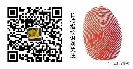 减肥快速有效的运动方法有哪些_快速减肥的运动有哪些_减肥运动快速有效