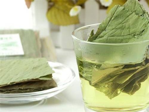 荷葉茶減肥效果 荷葉茶的減肥效果怎么樣