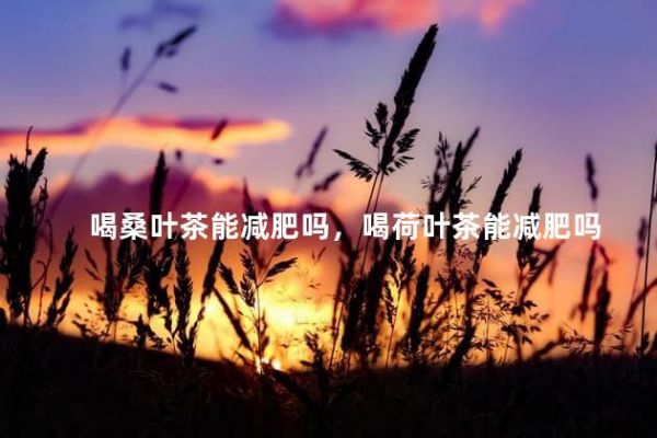 喝桑叶茶能减肥吗，喝荷叶茶能减肥吗