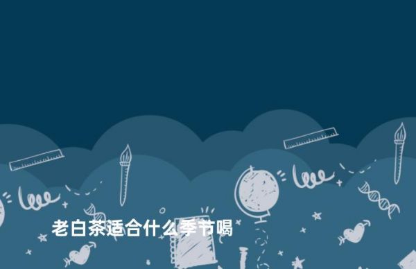 老白茶適合什么季節(jié)喝