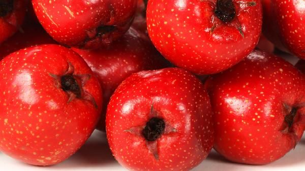 山楂荷葉陳皮茶一天喝幾次