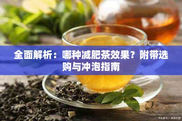全面解析：哪种减肥茶效果？附带选购与冲泡指南