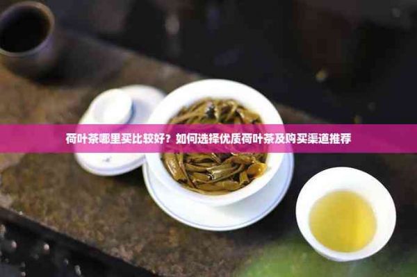 荷葉茶哪里買比較好？如何選擇優(yōu)質(zhì)荷葉茶及購買渠道推薦