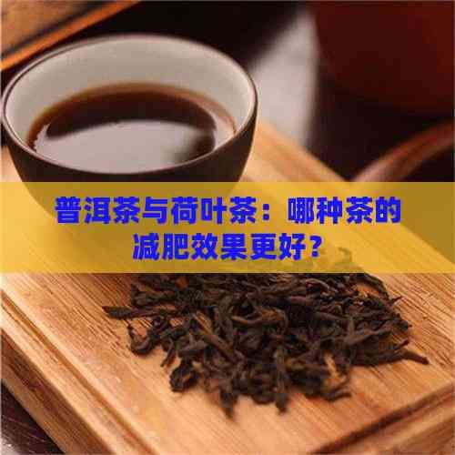 普洱茶與荷葉茶：哪種茶的減肥效果更好？