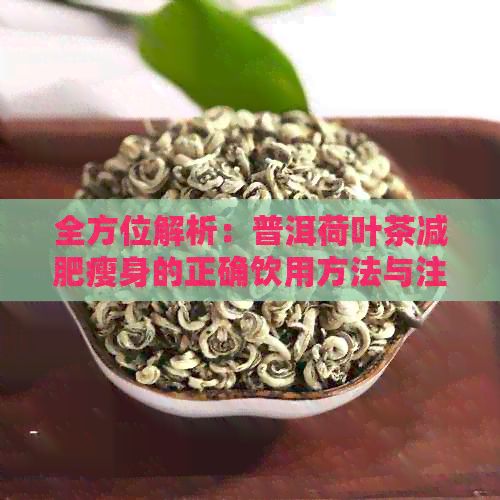 全方位解析：普洱荷葉茶減肥瘦身的正確飲用方法與注意事項