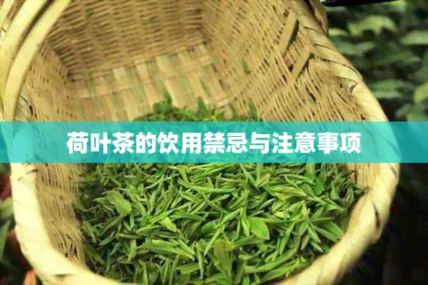 荷葉茶的飲用禁忌與注意事項(xiàng)