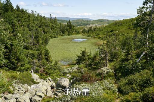 的热量
