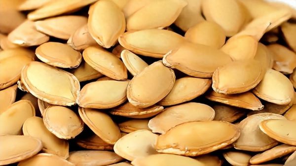 南眉籽的正确食用方法（最全辣木籽功效和食用方法）