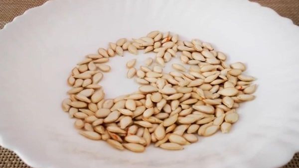 南眉籽的正确食用方法（最全辣木籽功效和食用方法）