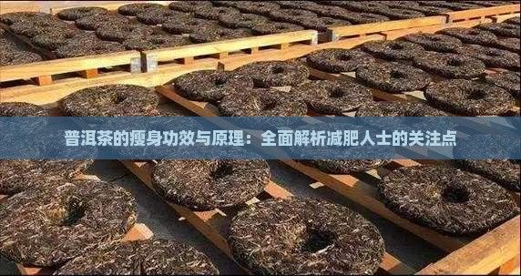 普洱茶的瘦身功效與原理：全面解析減肥人士的關(guān)注點(diǎn)