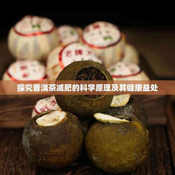 探究普洱茶減肥的科學(xué)原理及其健康益處