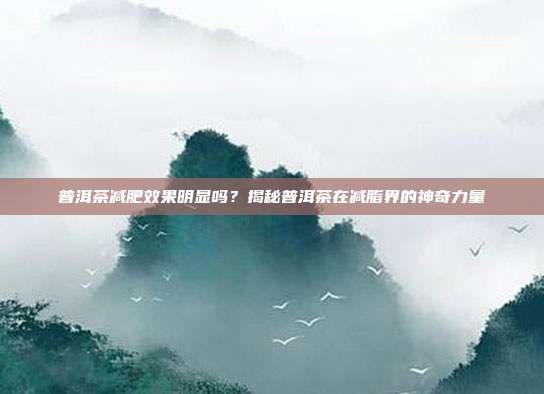 普洱茶減肥效果明顯嗎？揭秘普洱茶在減脂界的神奇力量