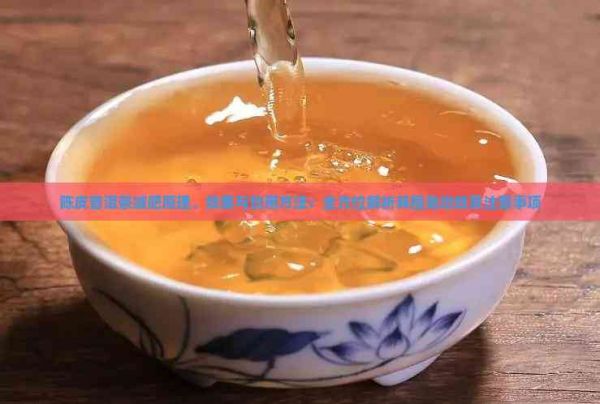 陳皮普洱茶減肥原理、效果與飲用方法：全方位解析其瘦身功效及注意事項