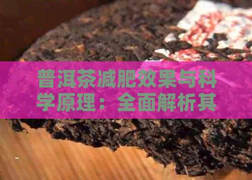 普洱茶減肥效果與科學(xué)原理：全面解析其對體重管理的作用