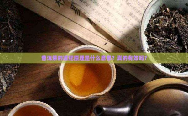 普洱茶的減肥原理是什么意思？真的有效嗎？