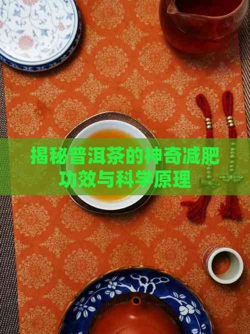 揭秘普洱茶的神奇減肥功效與科學(xué)原理