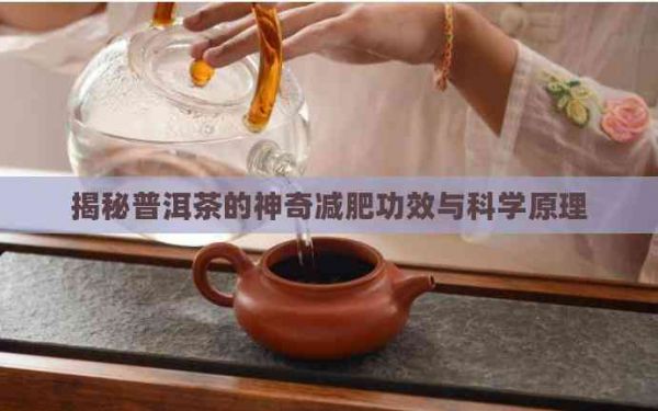 揭秘普洱茶的神奇減肥功效與科學(xué)原理