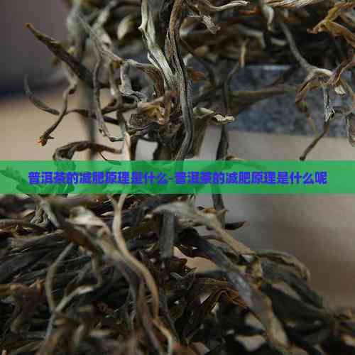 普洱茶的減肥原理是什么-普洱茶的減肥原理是什么呢