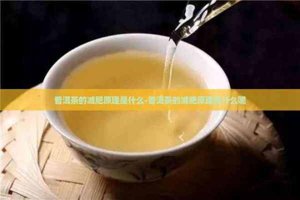 普洱茶的減肥原理是什么-普洱茶的減肥原理是什么呢