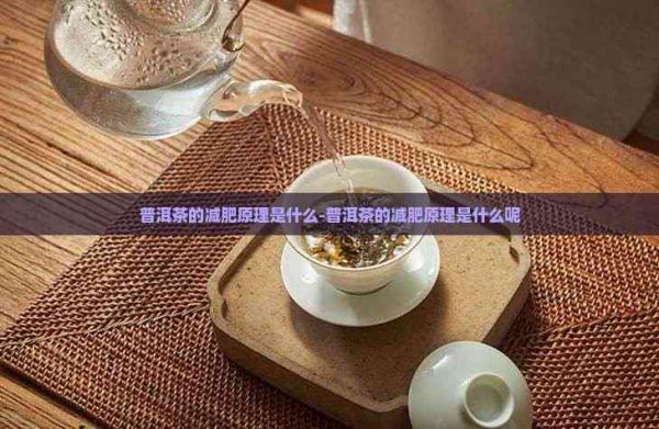 普洱茶的減肥原理是什么-普洱茶的減肥原理是什么呢