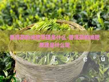 普洱茶的減肥原理是什么-普洱茶的減肥原理是什么呢