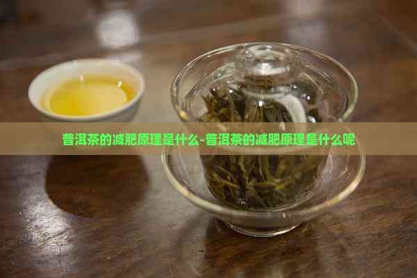 普洱茶的減肥原理是什么-普洱茶的減肥原理是什么呢