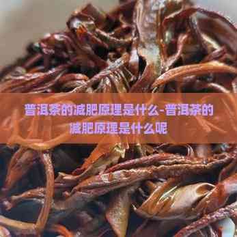 普洱茶的減肥原理是什么-普洱茶的減肥原理是什么呢