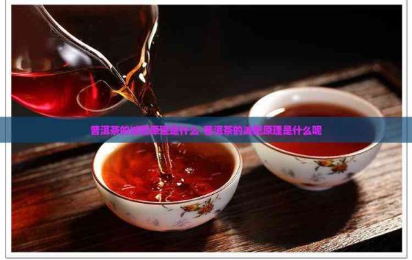 普洱茶的減肥原理是什么-普洱茶的減肥原理是什么呢