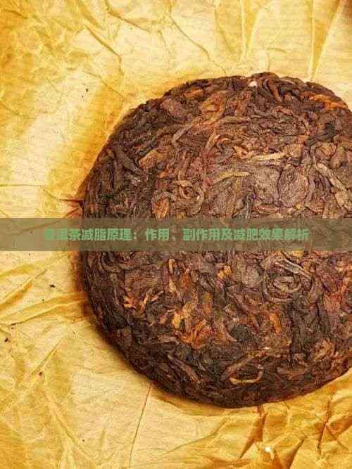 普洱茶減脂原理：作用、副作用及減肥效果解析