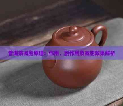 普洱茶減脂原理：作用、副作用及減肥效果解析