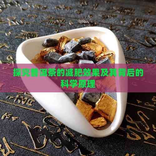 探究普洱茶的減肥效果及其背后的科學(xué)原理