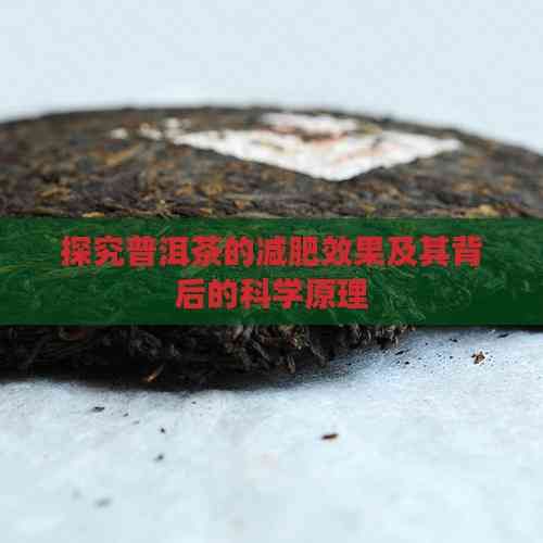 探究普洱茶的減肥效果及其背后的科學(xué)原理