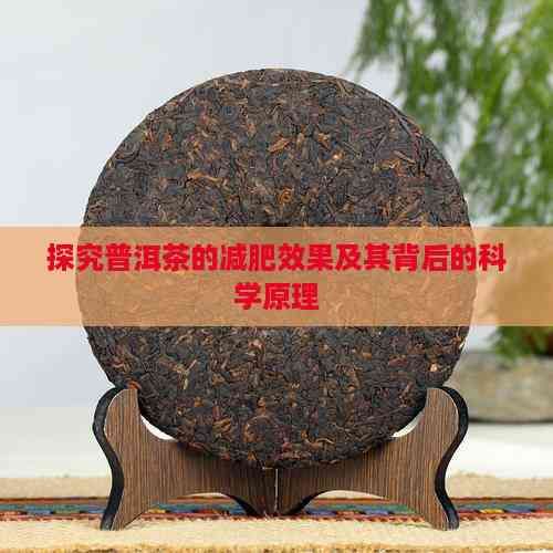 探究普洱茶的減肥效果及其背后的科學(xué)原理