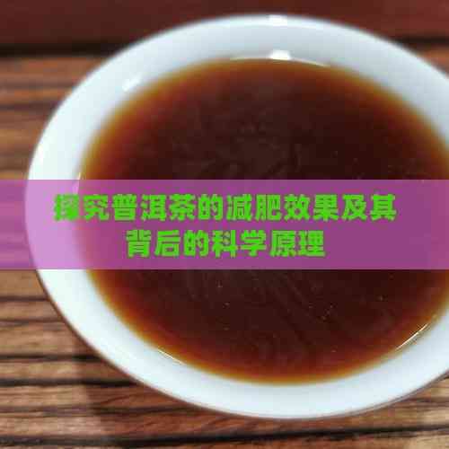 探究普洱茶的減肥效果及其背后的科學(xué)原理