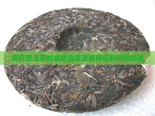 探究普洱茶的減肥效果及其背后的科學(xué)原理