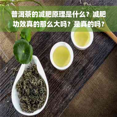 普洱茶的減肥原理是什么？減肥功效真的那么大嗎？是真的嗎？