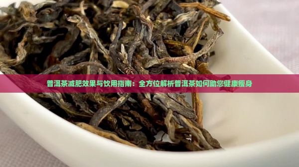 普洱茶减肥效果与饮用指南：全方位解析普洱茶如何助您健康瘦身