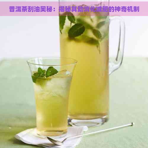 普洱茶刮油奧秘：揭秘其助消化減肥的神奇機制
